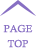 pagetop